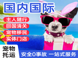 合肥机场货运国际宠物托运 【国
